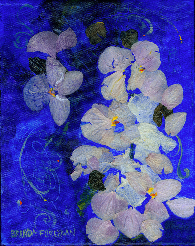 Orchid Blues